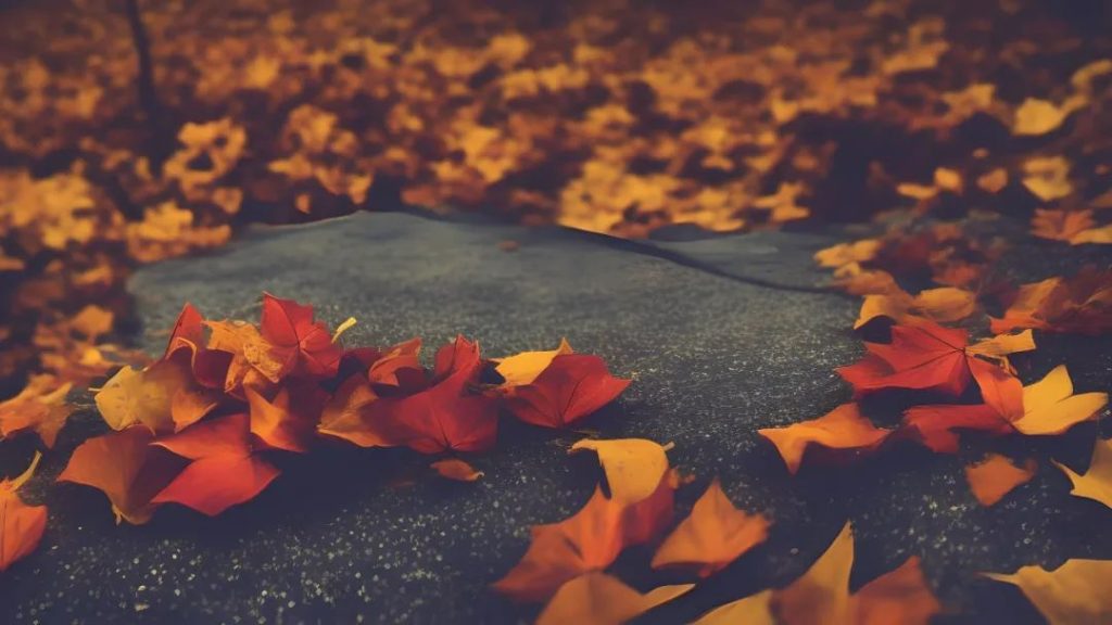 秋天桌面的图片唯美小清新风景壁纸高清全屏