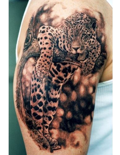 健身猛男胳膊上慵懒的豹子纹身图案图片