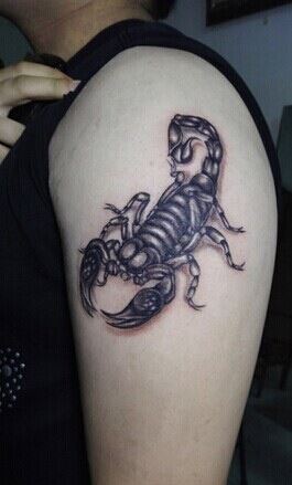 猛男胳膊上个性蝎子图腾纹身图案图片