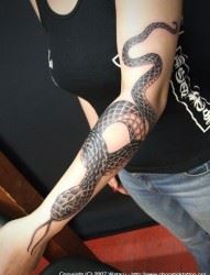 男子手臂简单小蛇另类刺青纹身图片