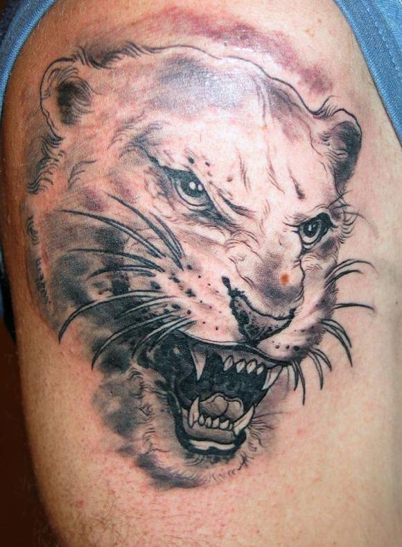 猛男胳膊上张牙舞爪的豹子头纹身图案图片