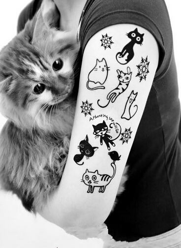 美女手臂可爱卡通萌小猫黑白纹身图片
