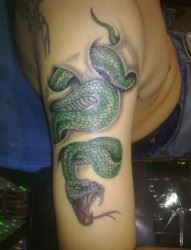 男子手臂凶猛的青色花蛇纹身图案图片