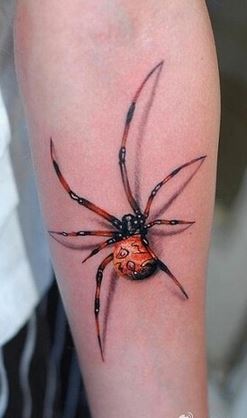 男生手臂蜘蛛结网3D纹身高清图片