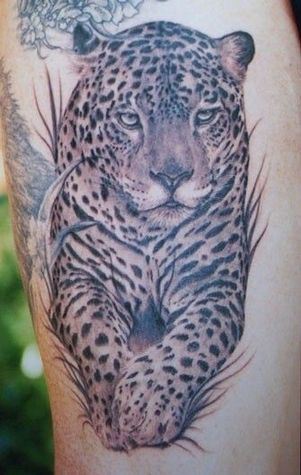 男子手臂豹子纹身图案大全欣赏图片