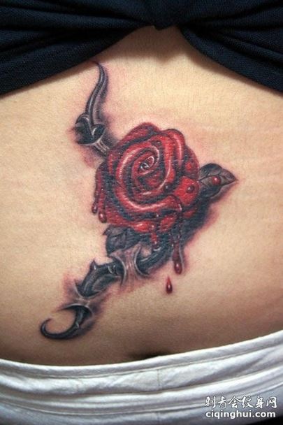 美女腹部漂亮的玫瑰纹身图案欣赏图片