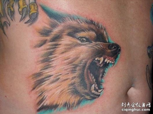 侧腰凶猛的狼图案个性纹身精选图片