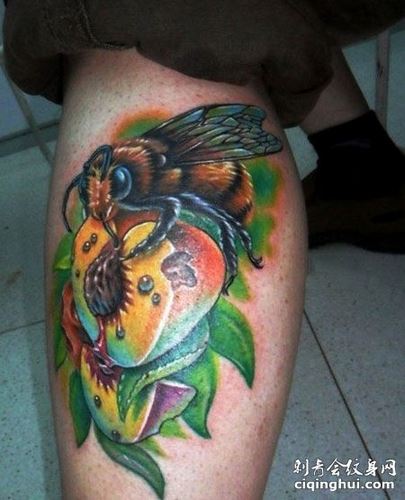 小腿上彩色桃子蜜蜂纹身图案图片