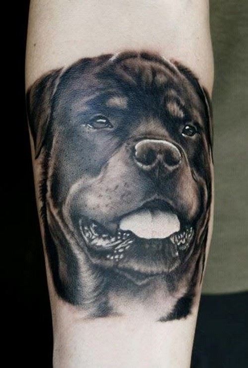 罗威纳犬狗头手臂纹身图片