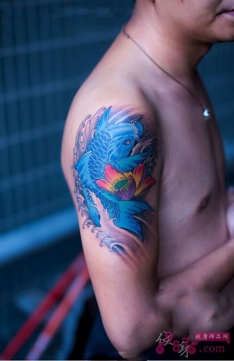 男生手臂纹身蓝色精美鲤鱼图案图片