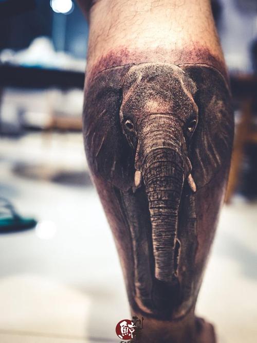 大象纹身图片 大象纹身图片大全