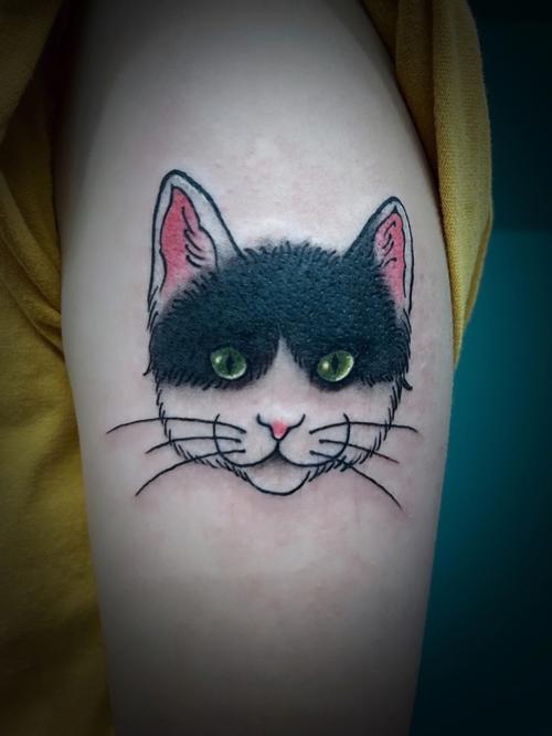 纹身猫咪图片 纹身猫咪图片有颜色的