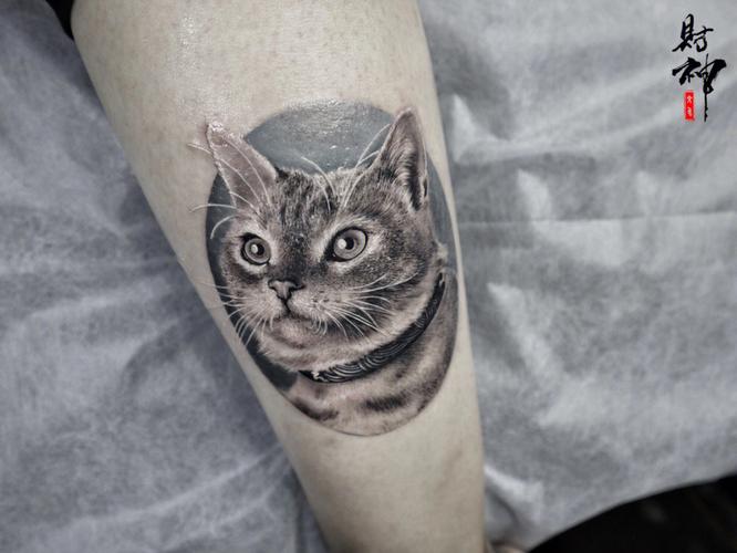 猫纹身图片 猫纹身图片大全