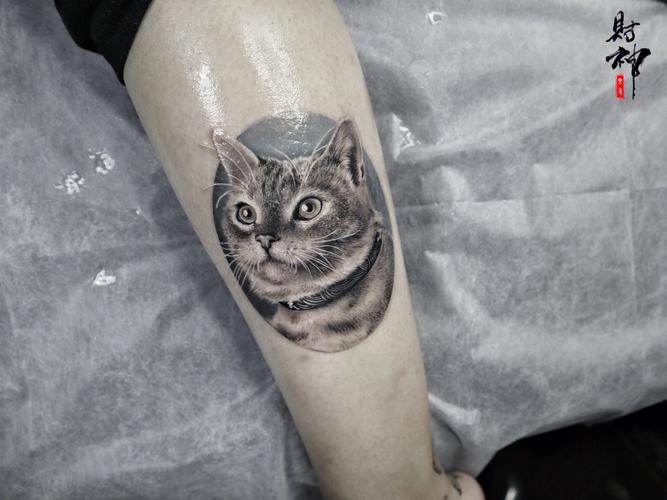 关于猫的纹身图片 关于猫的纹身图案