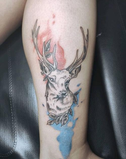 彩色鹿头纹身图案 彩色鹿头纹身图案图片