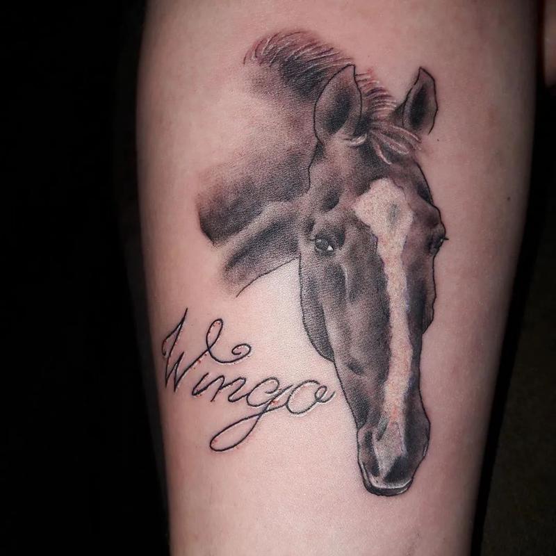 关于马的纹身图案设计 关于马的纹身手稿