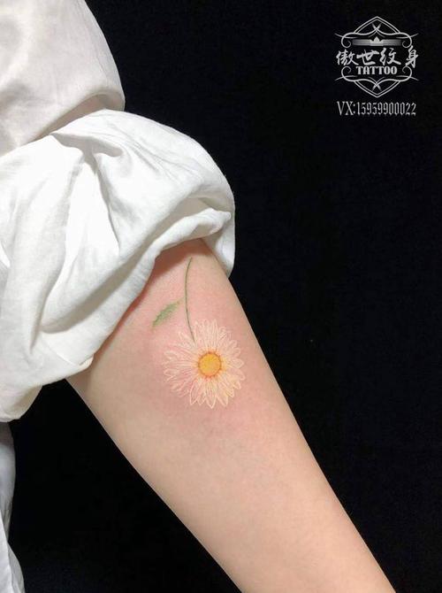雏菊花纹身图案 雏菊花纹身图案图片