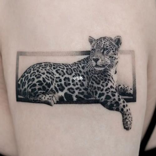 豹子纹身图片 豹子纹身图片男