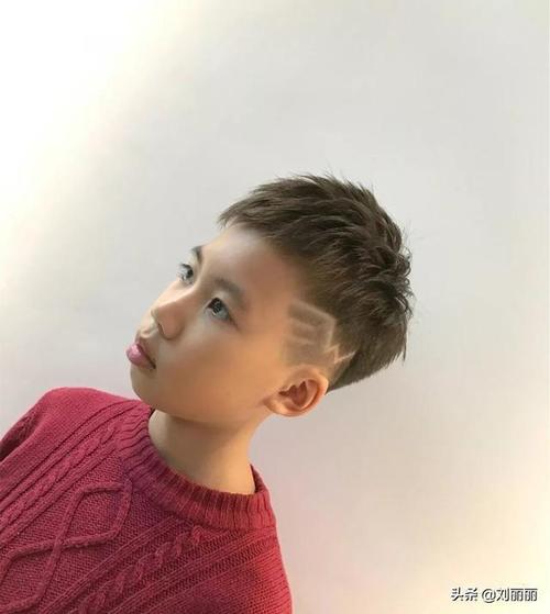 10岁男孩发型图片 10岁男孩发型图片短发
