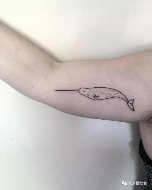独角鲸纹身图案 独角鲸纹身图案大全图片