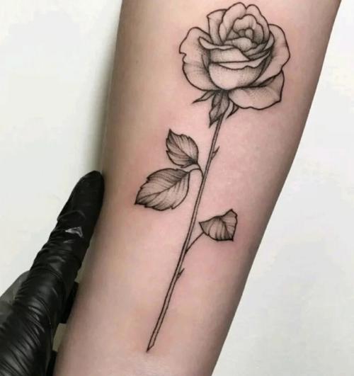 玫瑰纹身图 蛇缠玫瑰纹身图