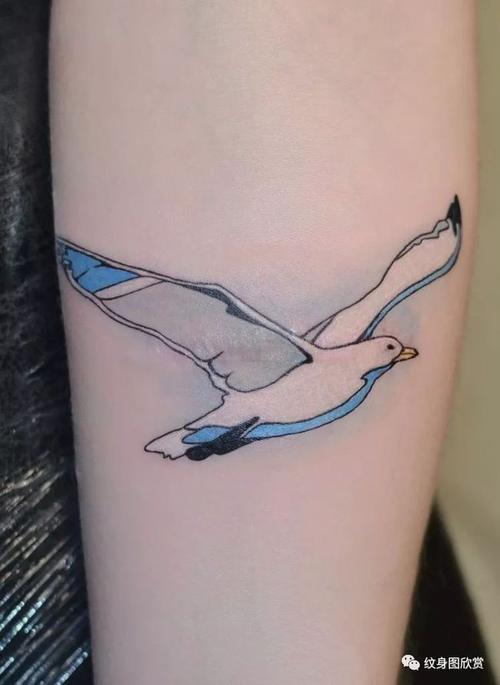 海鸥纹身图片 海鸥纹身图片大全手臂