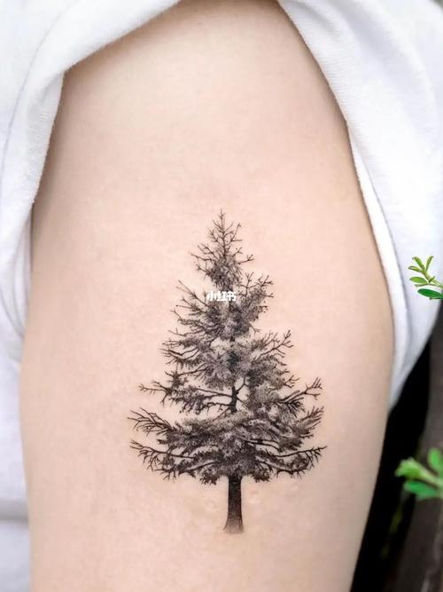 大树纹身图片 大树纹身图片手稿