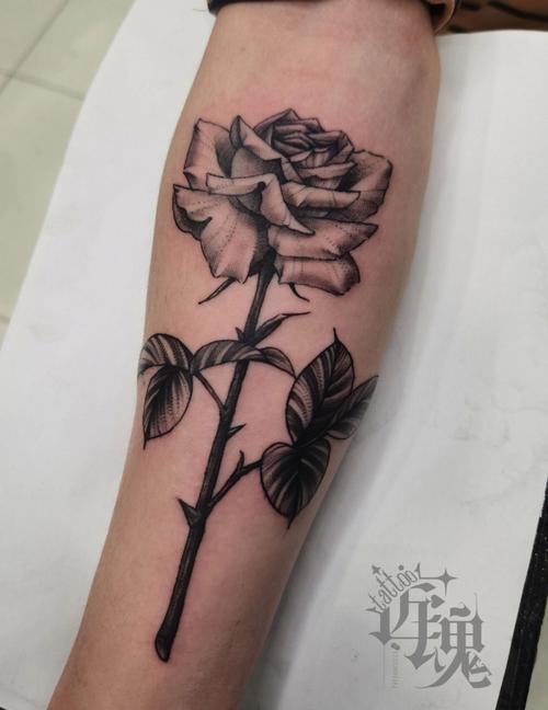 玫瑰花纹身图片 手臂玫瑰花纹身图片