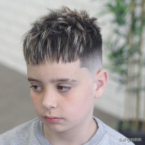 男童剪头发发型图片 男童剪头发发型图片大全