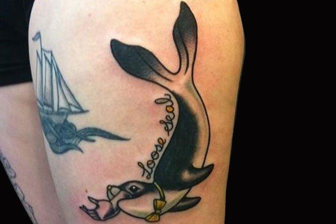 海豹纹身图案 海豹纹身手稿