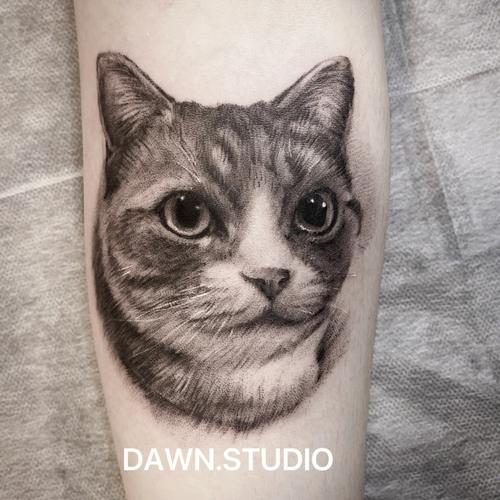 纹身猫咪图片 纹身猫咪图片有颜色的