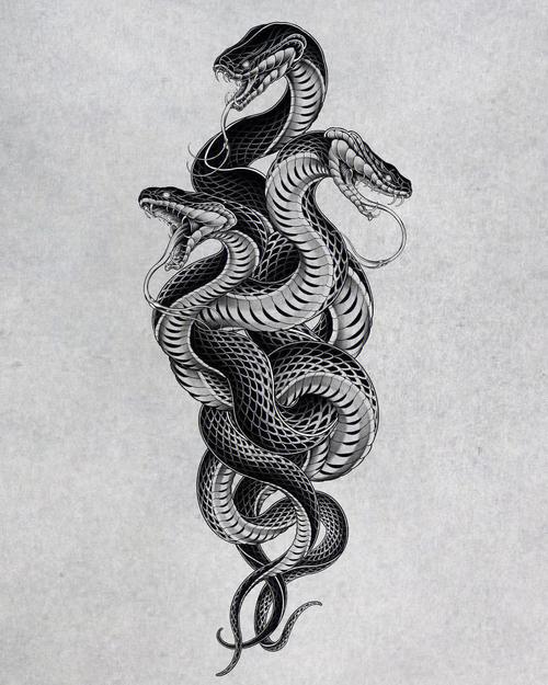 毒蛇纹身图案 毒蛇纹身图案图片
