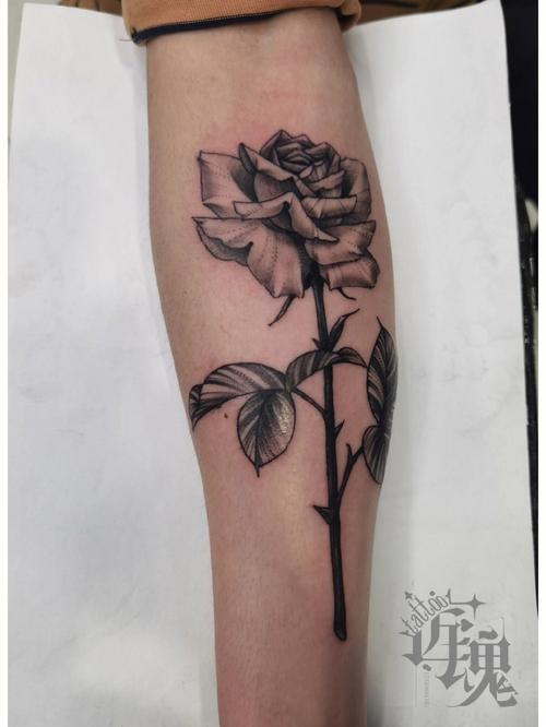 纹身图案玫瑰 