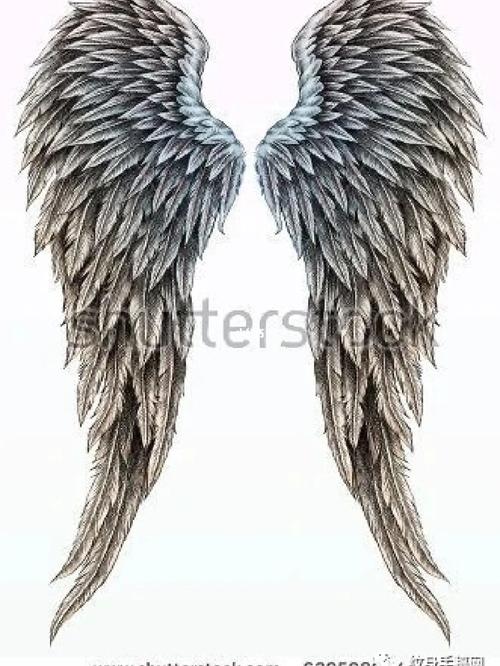 半背翅膀纹身图 半背翅膀下面可以加什么图案
