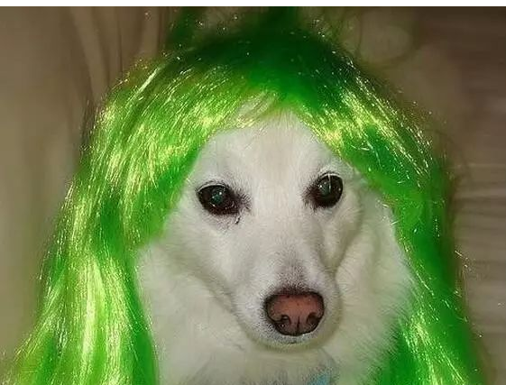 女生墨绿色头发图片 女生墨绿色头发图片真实