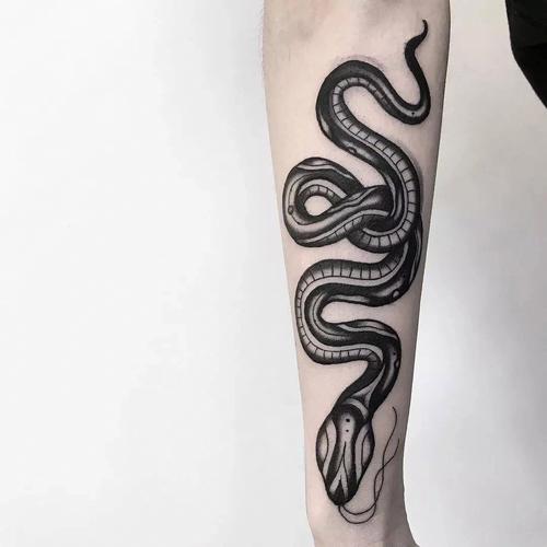 毒蛇纹身图案 毒蛇纹身图案图片