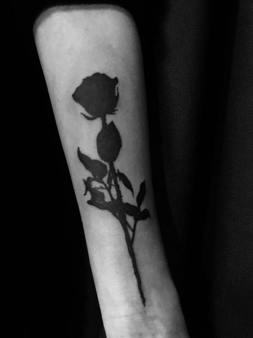 黑玫瑰纹身图案 黑玫瑰纹身图案大全男