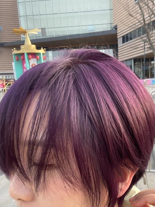 紫色头发图片 紫色头发图片男