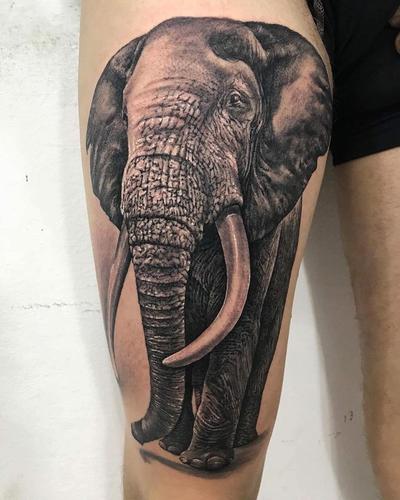 大象头纹身图案 大象头纹身图案女