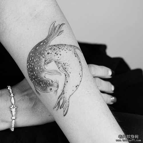 海豹纹身图案 海豹纹身手稿