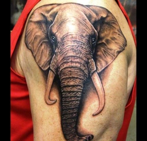 大象头纹身图案 大象头纹身图案女