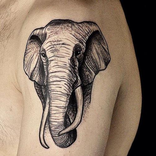 大象图案纹身 大象图案纹身手稿