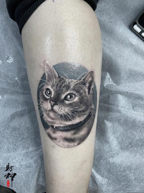 关于猫的纹身图片 关于猫的纹身图案