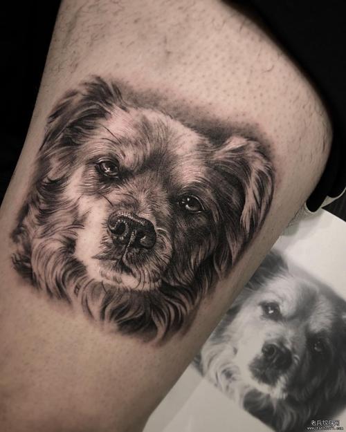 动物纹身图案大全图片 动物纹身图案大全图片简单