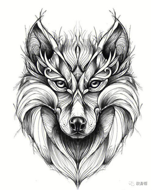 狼头纹身图案大全图片 滴血狼头纹身图案大全图片