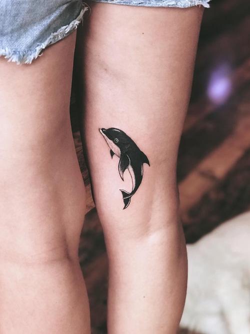 海豚的纹身图案 海豚的纹身图案是什么
